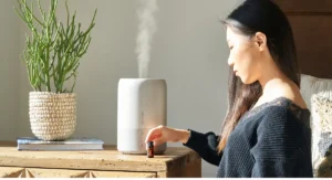 Melhores umidificadores de ar para manter o ambiente saudável e confortável